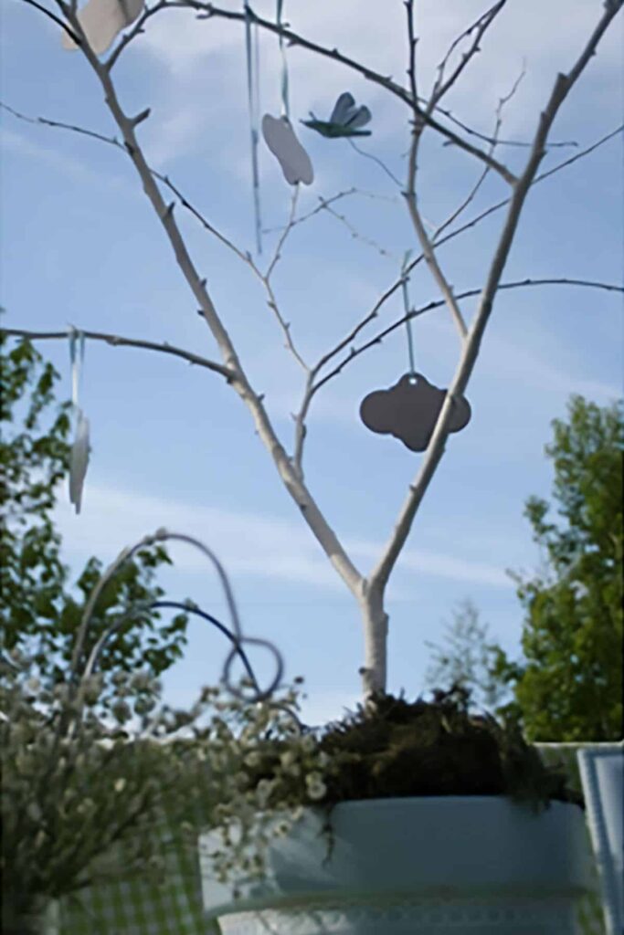 a potted tree sapling with metal tags hanging from the bare branches