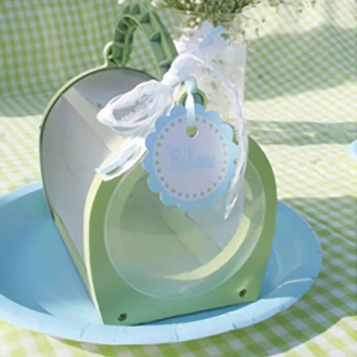 photo of a kids bug catcher toy painted green on a blue plate with a gift tag tied to the top