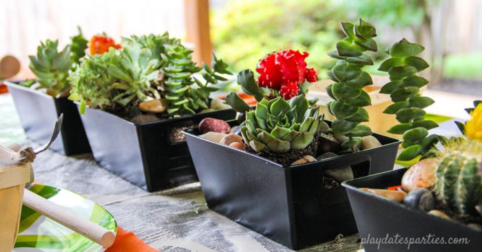 A long and low centerpiece of small black boxes filled with succulents.