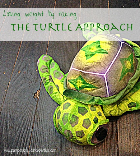 Turtle Approach