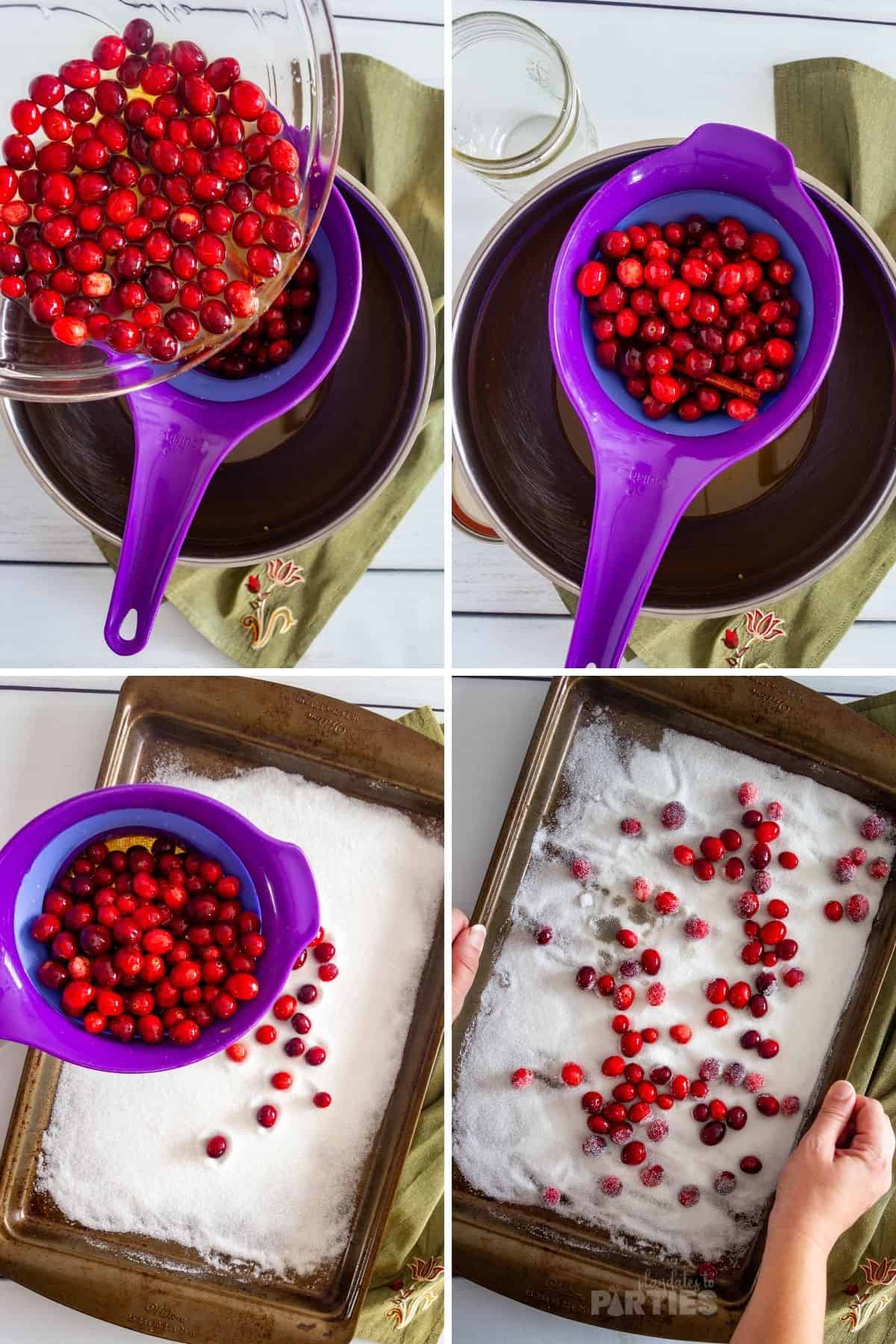 Coating fresh cranberries with sugar.