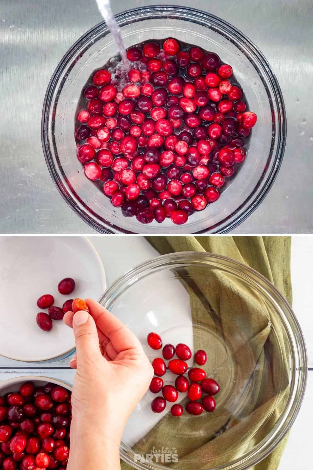 Rinsing and separating fresh cranberries before cooking.