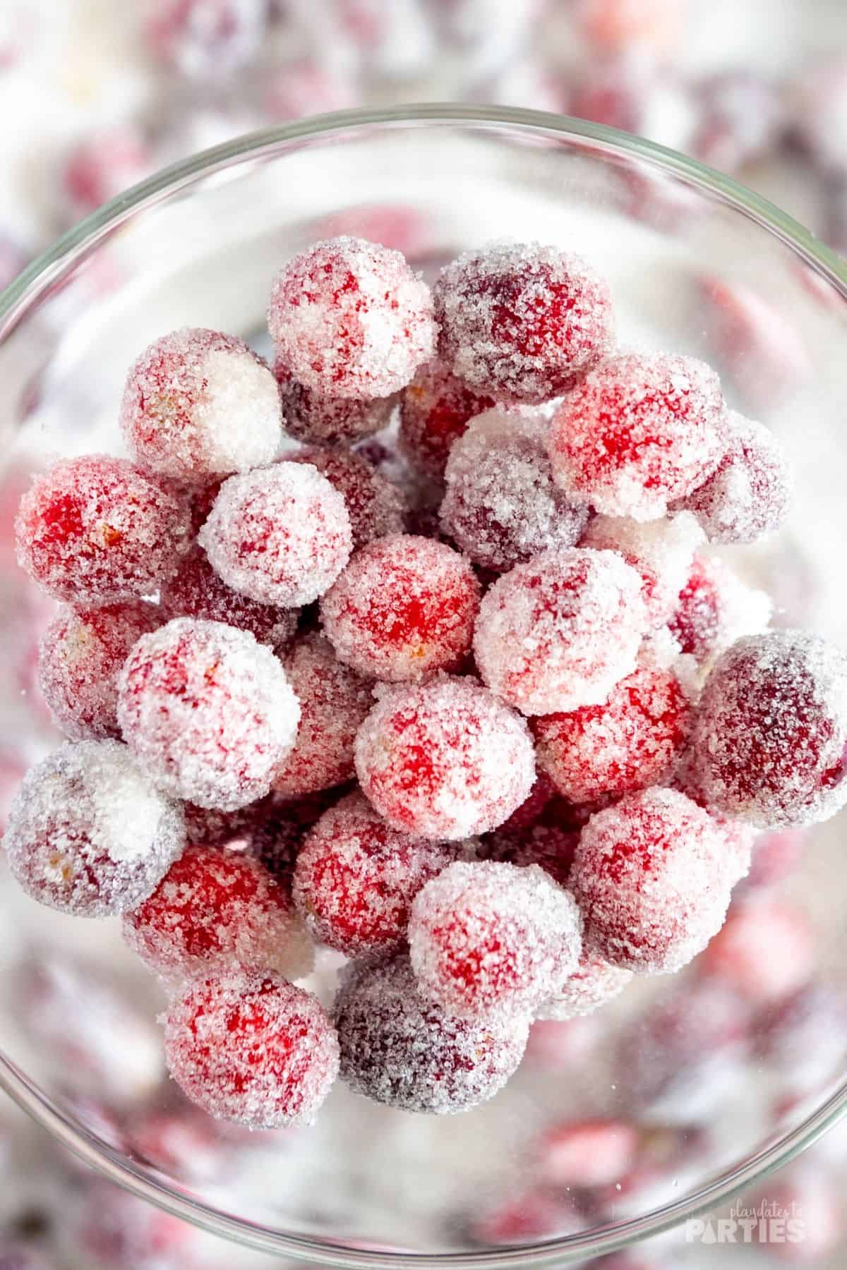 A martini glass holds cranberries which have been candied with granulated sugar, vanilla, and orange zest.