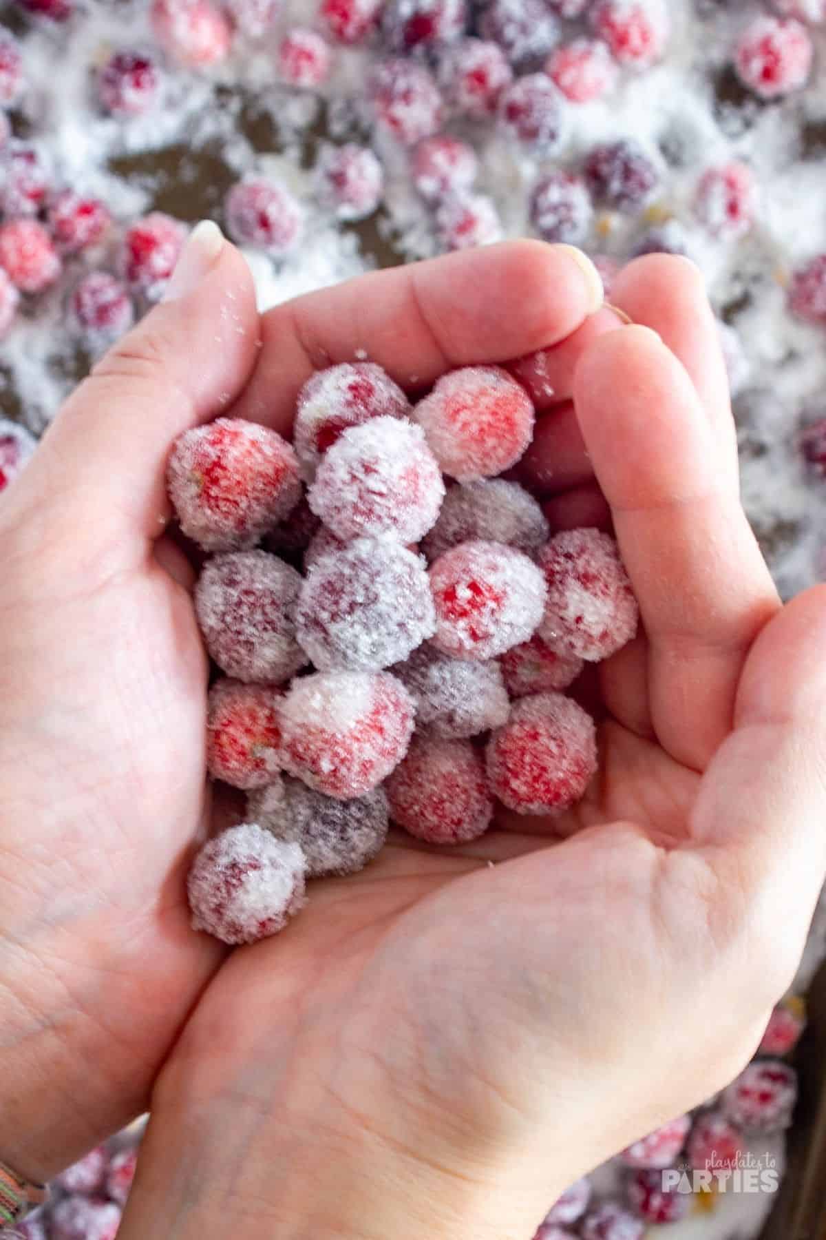 A woman's hands holding a pile of candied cranberries.