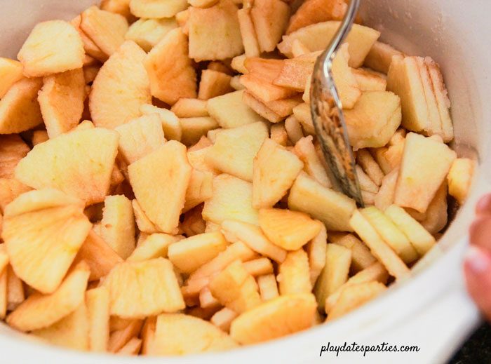 Add apples and remaining ingredients to crock pot and stir before cooking.