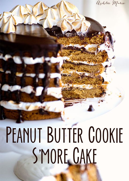 Peanut Butter Cookie S'mores Cake by Ashlee Marie