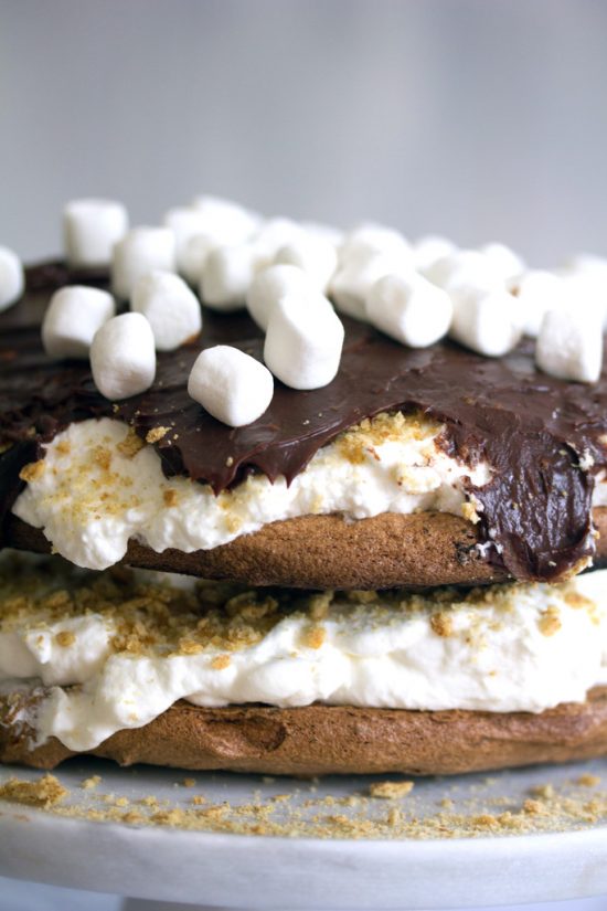 Creative s'mores cakes: s'mores pavlova