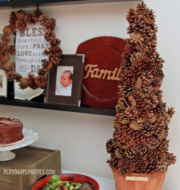 Find out how to preserve pine cones and acorns that you find in your back yard so your fall decor stays bug and mold free for months.