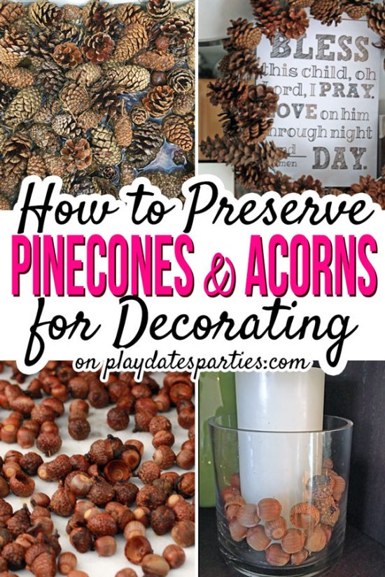 Wanting to try your hand at adorable fall and Christmas decorations made with dry pinecones? Learn how to preserve pinecones and acorns that you gather right in your own backyard! With dry acorns and pinecones the DIY and crafts options are endless! #pineconecrafts #acorncrafts #pinecone #fall #doityourself #howto #fallcrafts