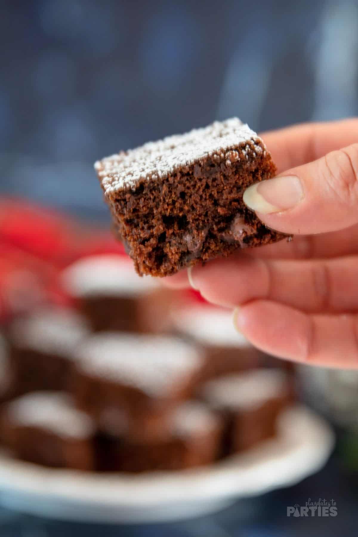 Chocolate chips are visible in a square of soft and moist gingerbread bars