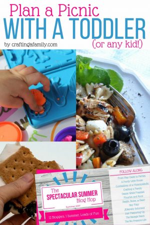 Family picnics are always fun. But it's so easy to forget something essential. Find out exactly what you need to plan a picnic with a toddler or any kid. Including, recipes, crafts, decorations, and activities.