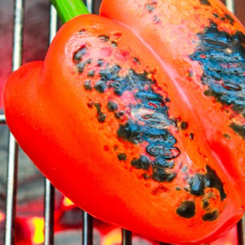 Fire Roasted Peppers Recipe