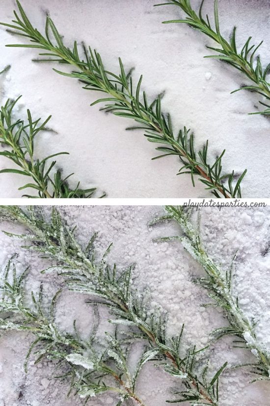 How to make sugar frosted rosemary to pair with white wine holiday sangria with rosemary and cranberries