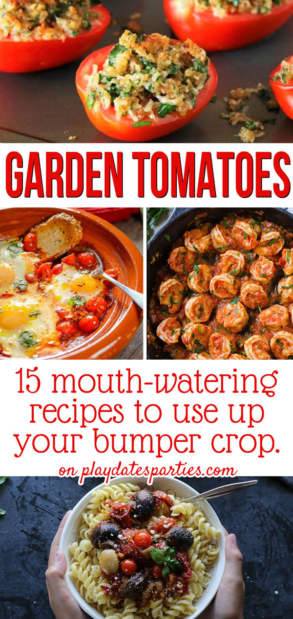 Too many tomatoes in your garden? Head over to playdatesparties.com to find 15 mouth-watering fresh tomato recipes to use up that bumper crop.
#gardening #tomatoes #homegardening #pdpcooks
