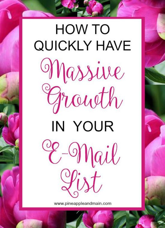 How To Quickly Have Massive Growth In Your Email List from Pineapple and Main.