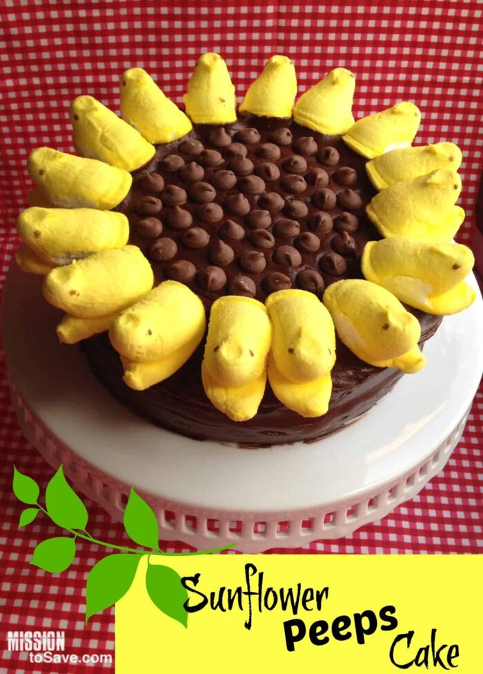 Cake with marshmallows around the edge and chocolate chips in the middle to look like a sunflower
