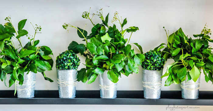 Small vases on a picture ledge filled with fresh greenery for Thanksgiving decorations