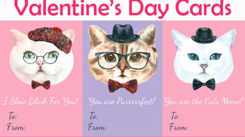 80+ Sweet (and Free!) Valentine's Day Printables