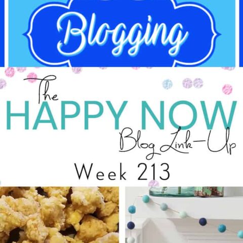 Image for The Happy Now Blog Link Up #213