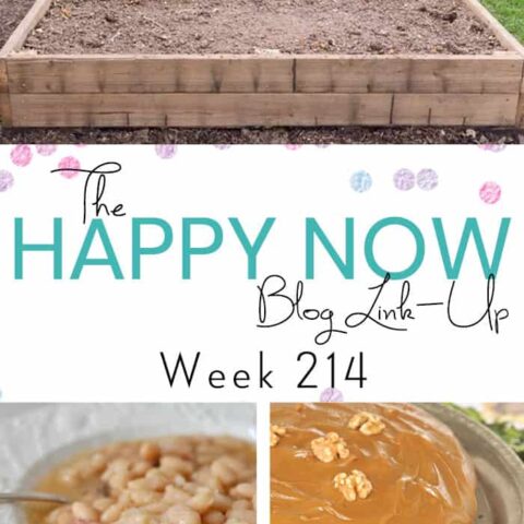 Image for The Happy Now Blog Link Up #214