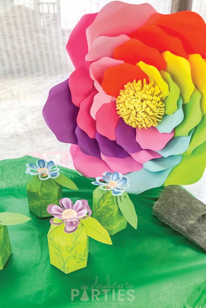 A giant rainbow rose with flower shaped flavor boxes in front 