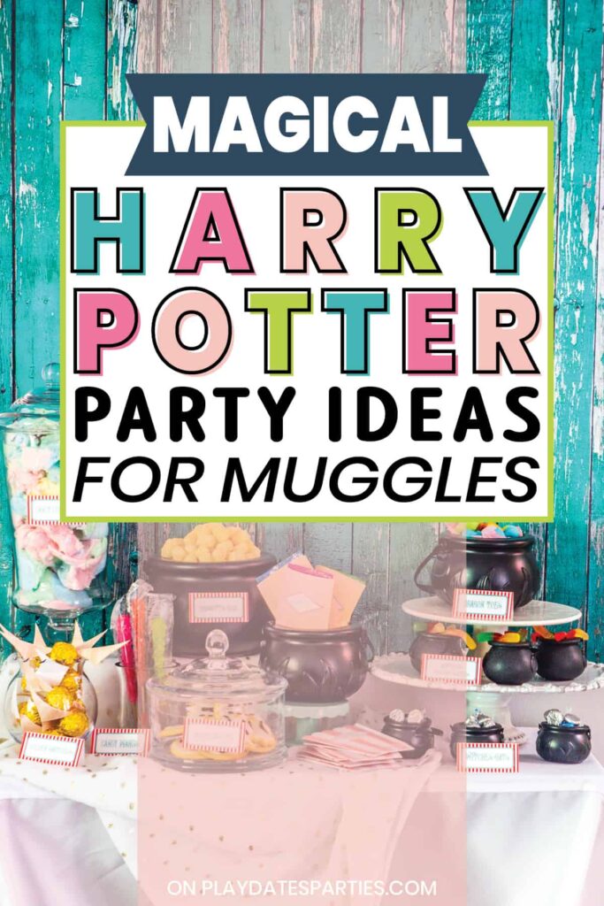 Harry Potter Inspired 9th Birthday Party - Party Ideas