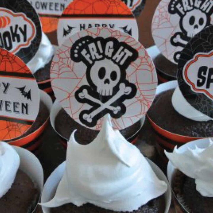 Chocolate cupcakes with whipped cream frosting and Halloween toppers