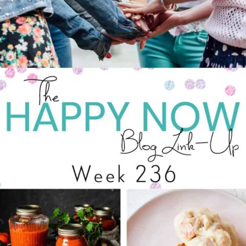 Image for The Happy Now Blog Link Up #236