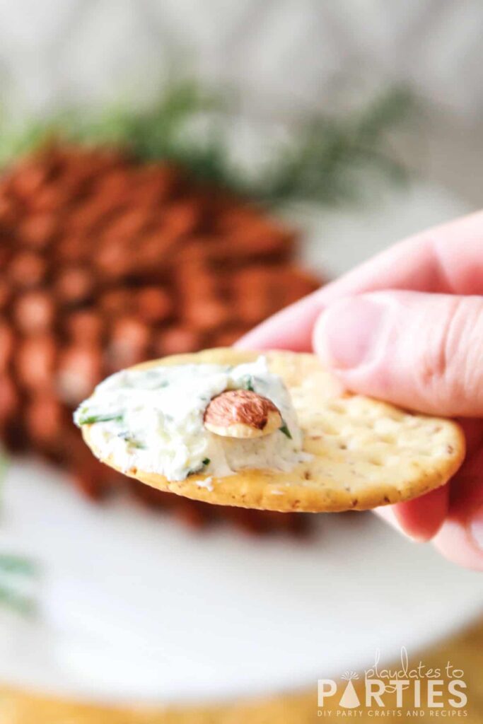 close up of a cracker with herbed cheese and almonds