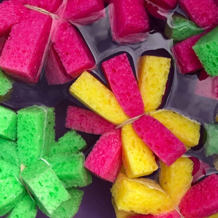 close up of sponge bombs in water