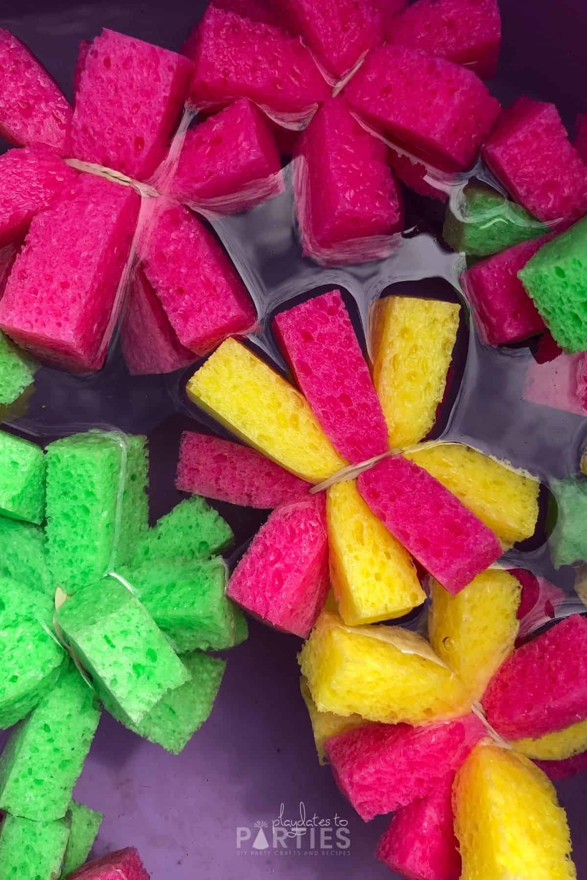 close up of sponge bombs in water