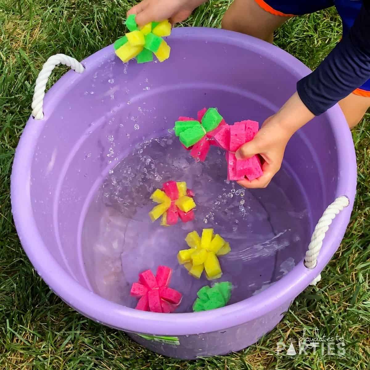 toddler boy grabbing sponge balls out of a large bucket filled with water