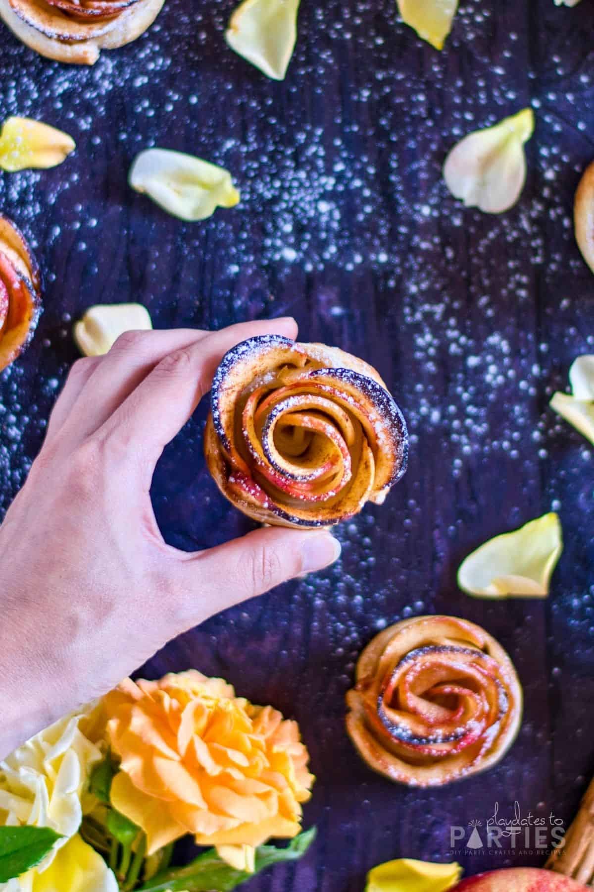 overhead view of a woman's hand holding a rose shaped mini apple tart