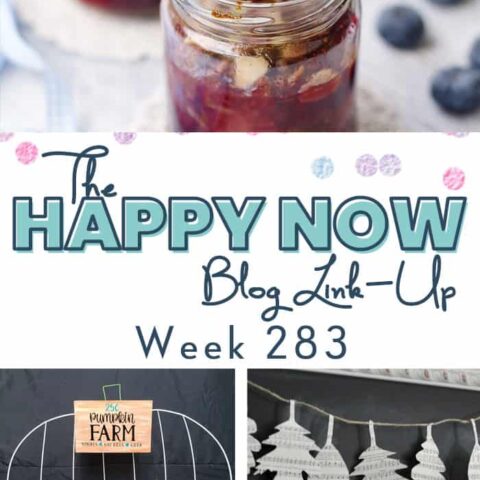 Image for The Happy Now Blog Link Up #283