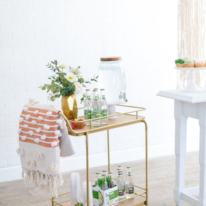 Image for Succulent Baby Shower