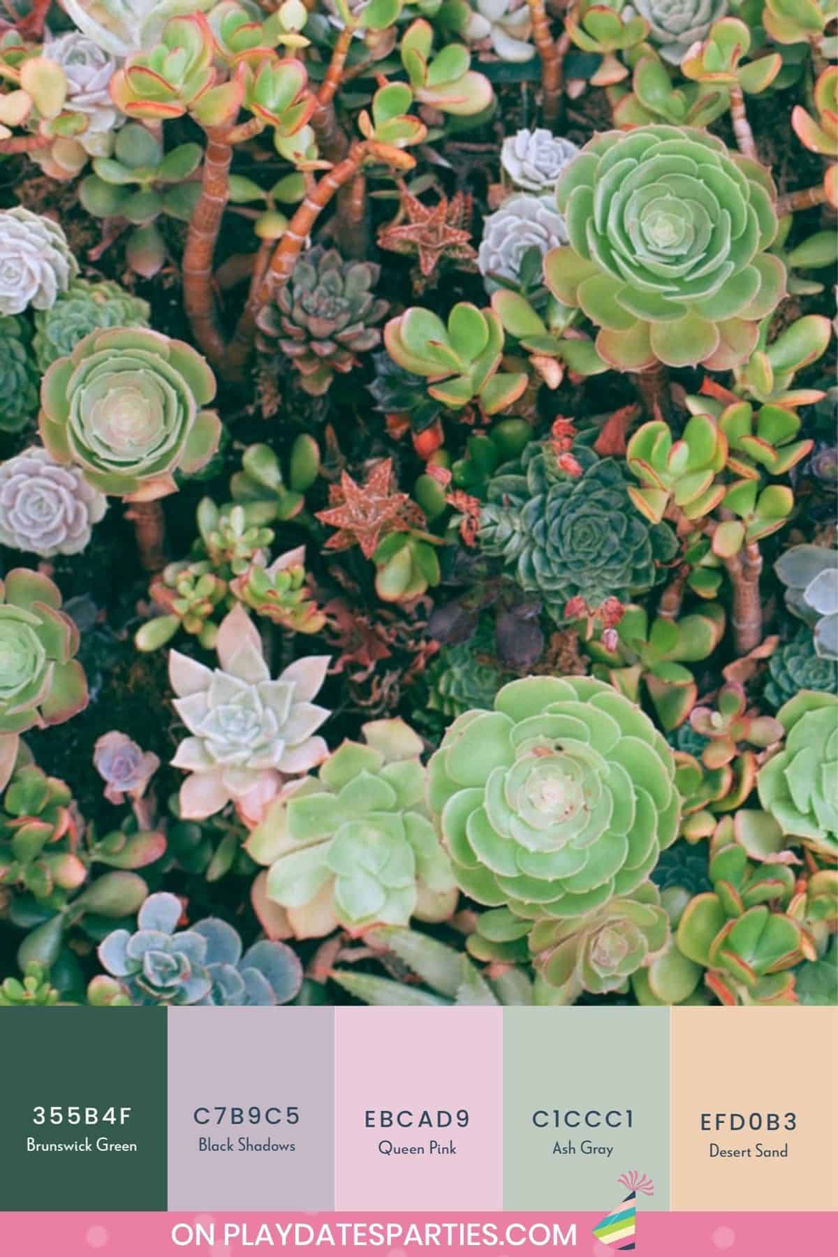 Soft and sophisticated party color palette inspired by succulents.