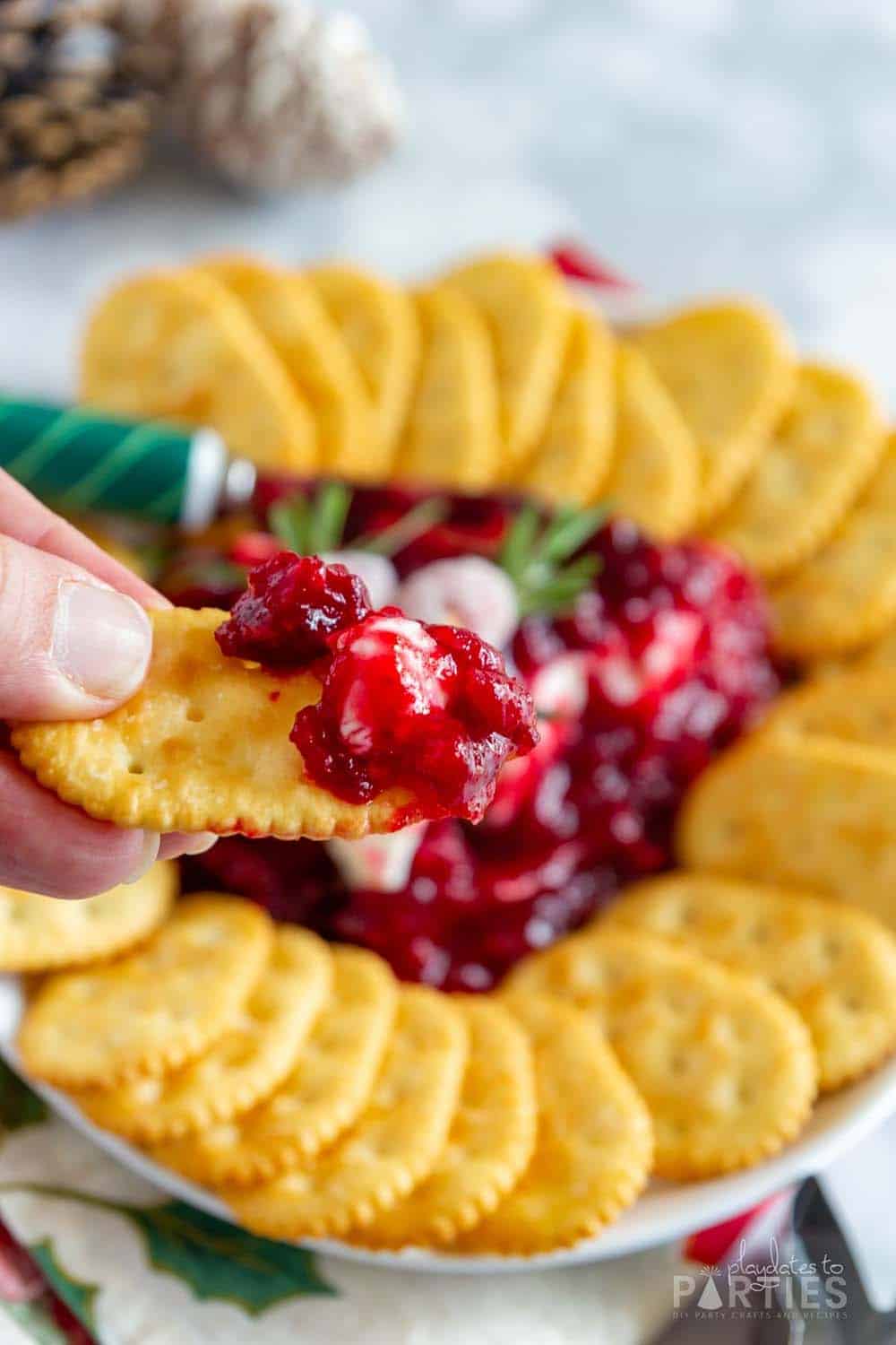 Bite shot of a cracker loaded with cream cheese and cranberry sauce.