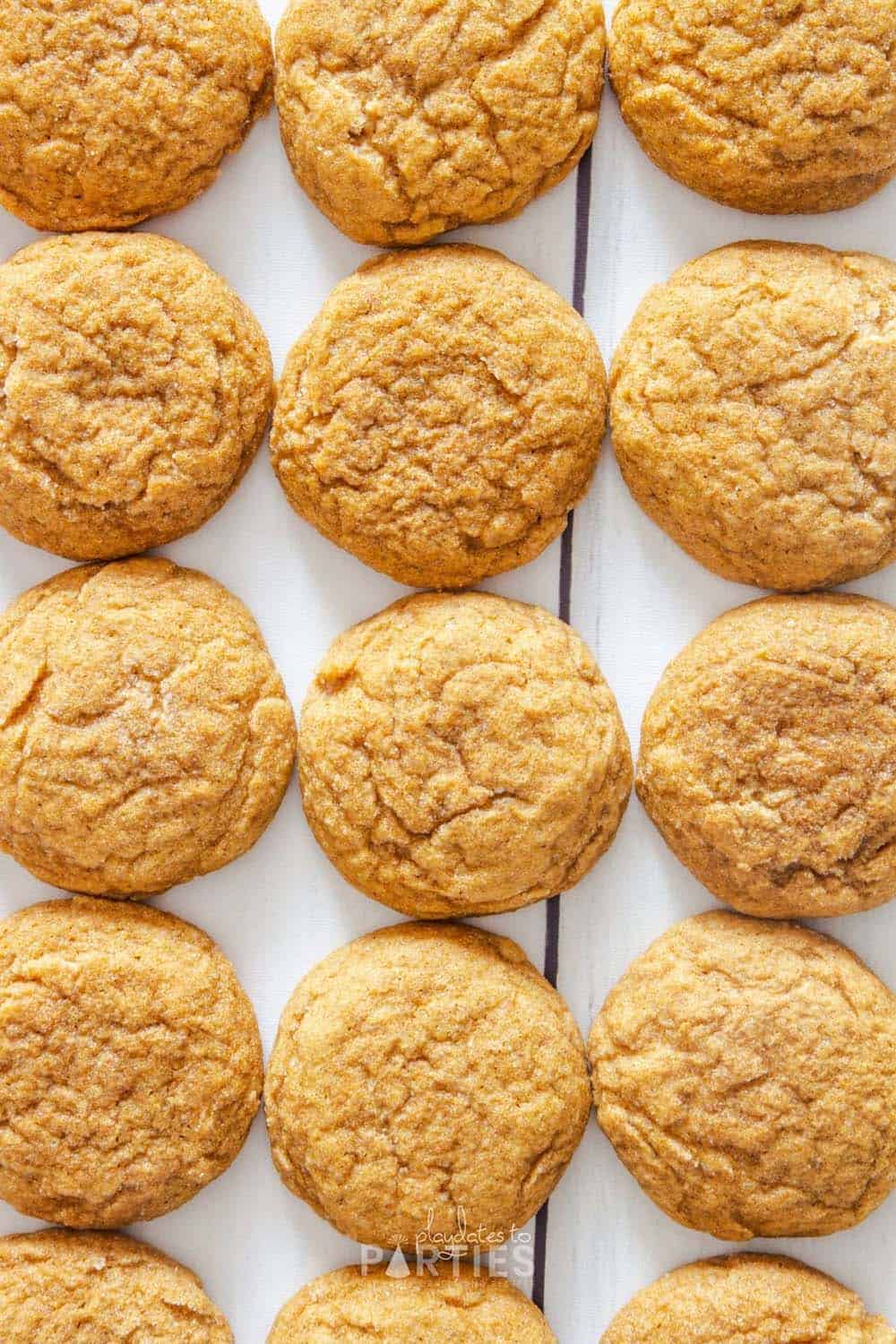 Overhead view of ginger cookies laid out in rows on a white wood surface.