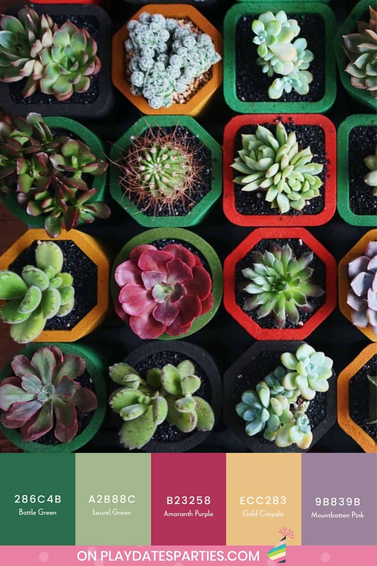 Bright and bold party color palette inspired by a photo of mini succulents in tiny pots.