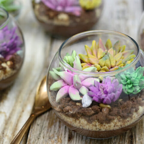 Image for Edible Terrariums