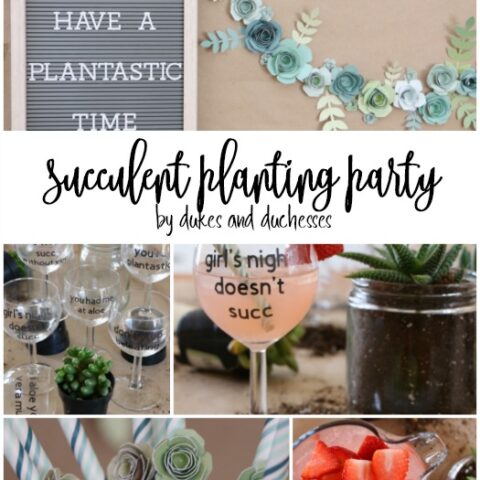 Image for Succulent Planting Party