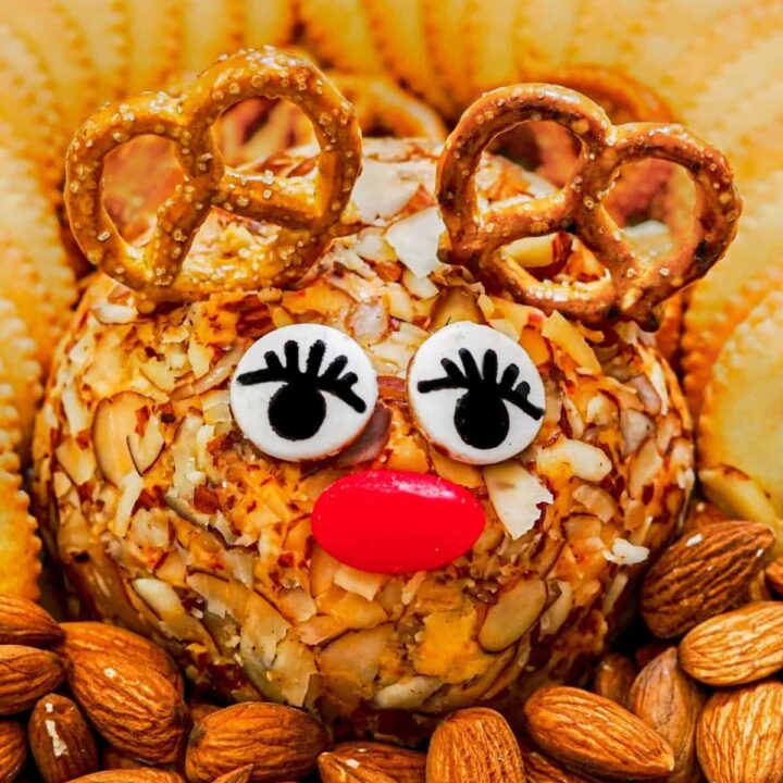 Close up of a reindeer cheese ball surrounded by crackers.