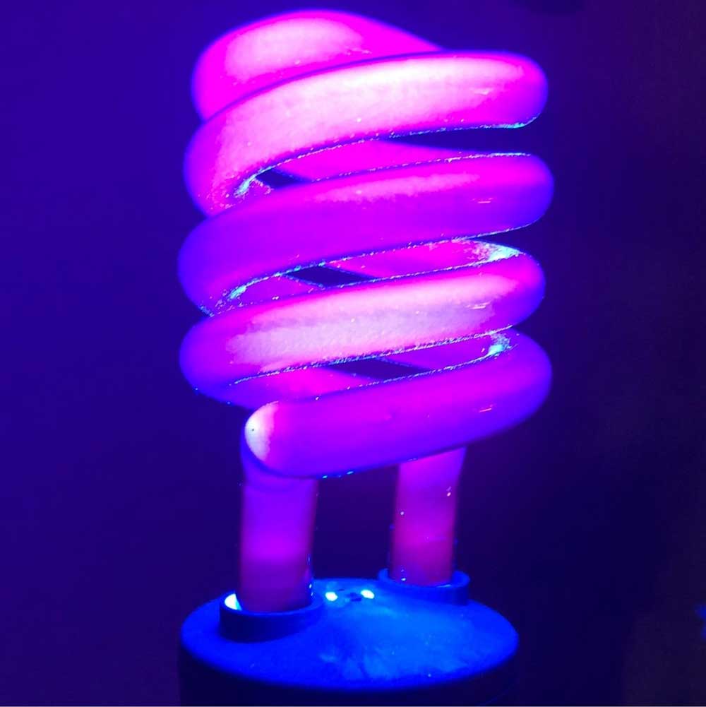 Close up of a CFL bulb glowing in black light.