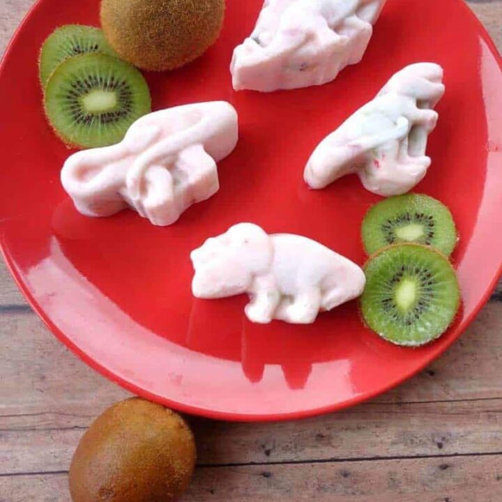 Image for Strawberry Kiwi Frozen Yogurt Dinosaurs