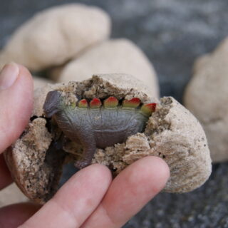 Dinosaur hidden inside a DIY rock.