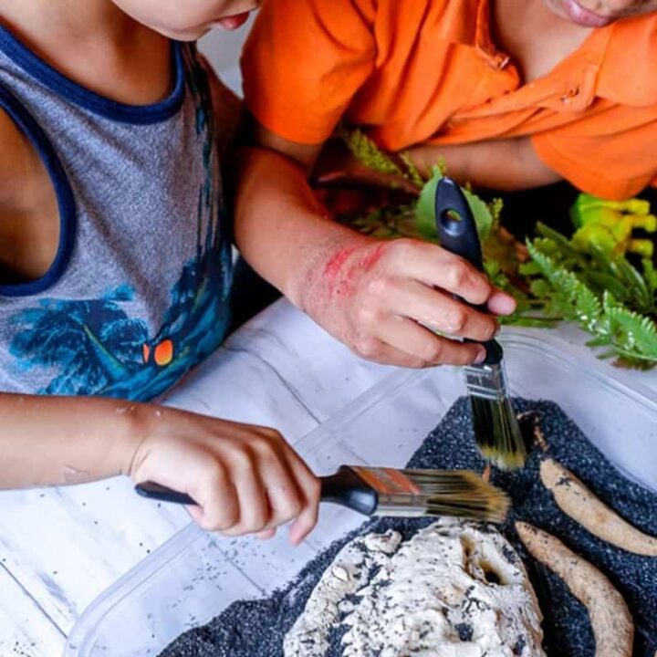 Image for How to Make Salt Dough Dinosaur Bones