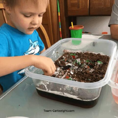 Image for How To Make a Tasty Dino Dig for Toddlers and Preschoolers (STEM Fun!)