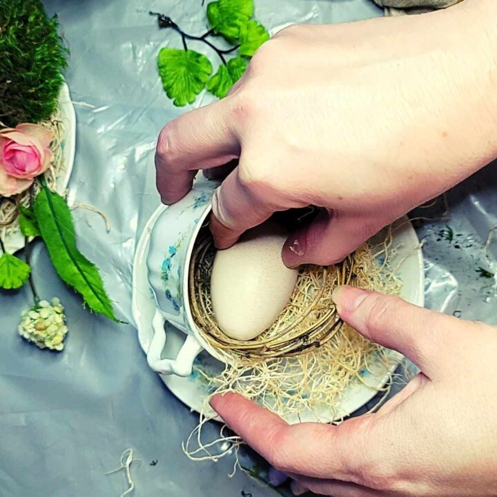 A woman's hands creating a teacup craft with an egg nest inside.