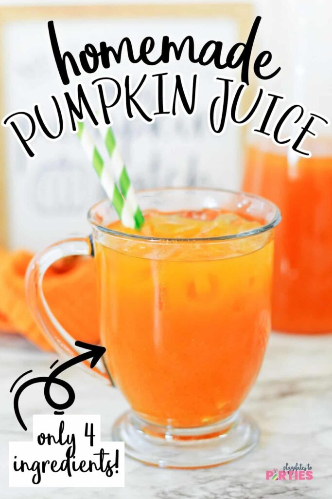 Pumpkin Juice Recipe Harry Potter Inspired 1657