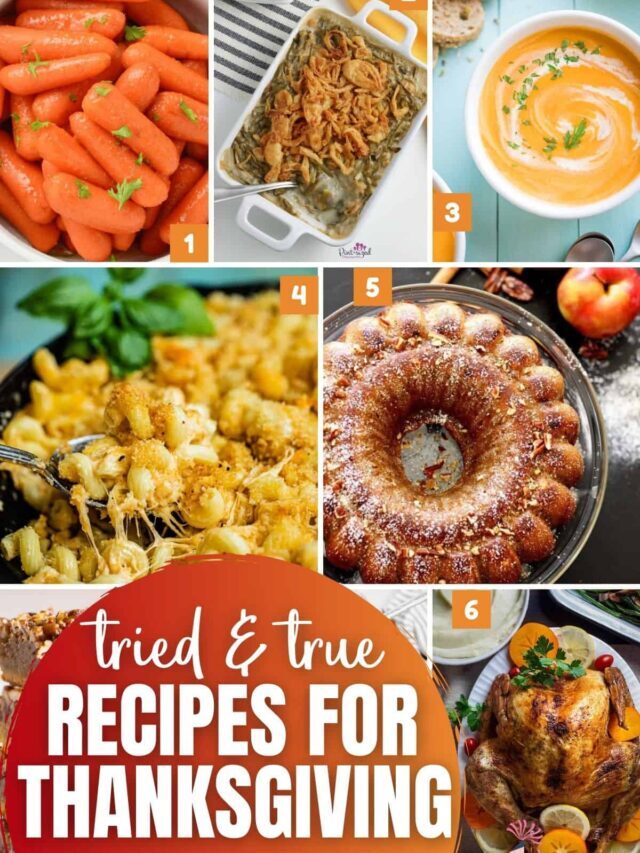The Best Thanksgiving Recipes